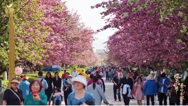 微信截图_20250415170449.png